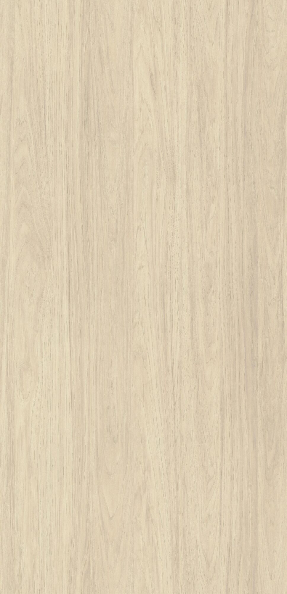 Muestrario 250mmx340mm (25cmx34cm)