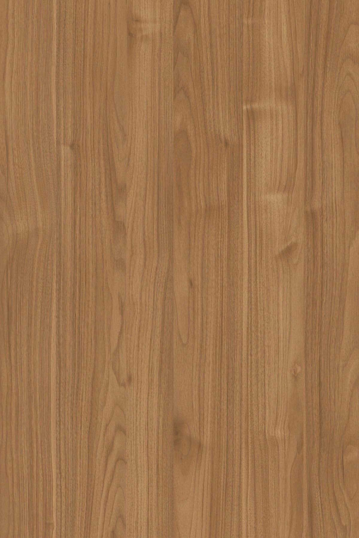 Muestrario 250mmx340mm (25cmx34cm)